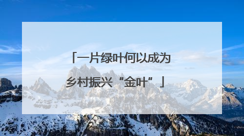 一片绿叶何以成为乡村振兴“金叶”