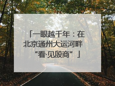 一眼越千年：在北京通州大运河畔“看·见殷商”