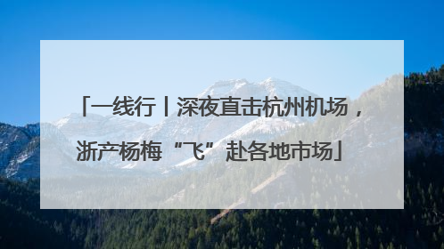 一线行丨深夜直击杭州机场，浙产杨梅“飞”赴各地市场