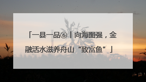 一县一品⑥丨向海图强，金融活水滋养舟山“致富鱼”