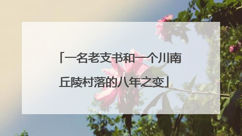 一名老支书和一个川南丘陵村落的八年之变