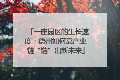 一座园区的生长速度：德州如何靠产业链“链”出新未来
