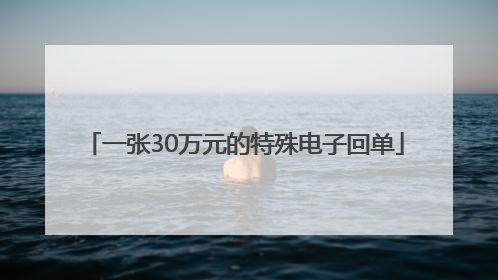 一张30万元的特殊电子回单