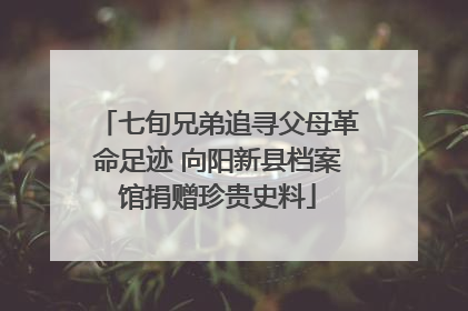 七旬兄弟追寻父母革命足迹 向阳新县档案馆捐赠珍贵史料