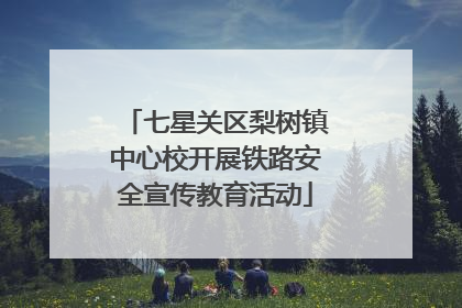 七星关区梨树镇中心校开展铁路安全宣传教育活动