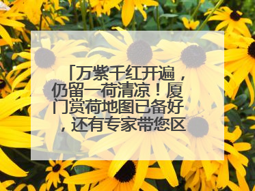 万紫千红开遍，仍留一荷清凉！厦门赏荷地图已备好，还有专家带您区分荷与莲→
