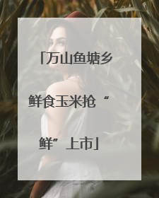 万山鱼塘乡鲜食玉米抢“鲜”上市