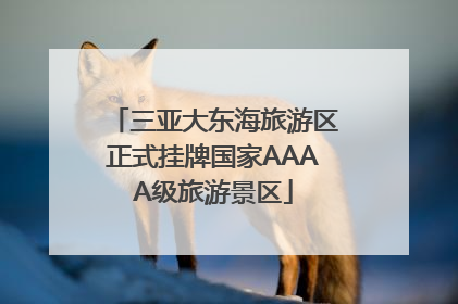 三亚大东海旅游区正式挂牌国家AAAA级旅游景区