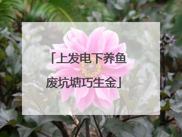 上发电下养鱼 废坑塘巧生金