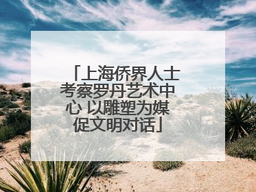 上海侨界人士考察罗丹艺术中心 以雕塑为媒促文明对话