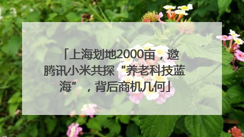 上海划地2000亩，邀腾讯小米共探“养老科技蓝海”，背后商机几何