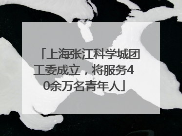 上海张江科学城团工委成立，将服务40余万名青年人