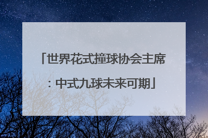 世界花式撞球协会主席：中式九球未来可期