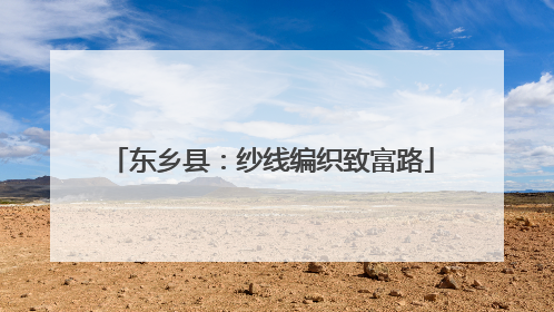 东乡县：纱线编织致富路
