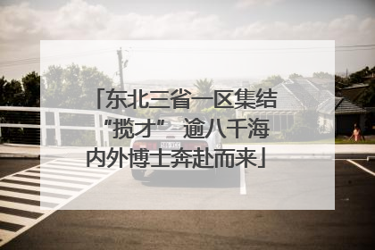 东北三省一区集结“揽才” 逾八千海内外博士奔赴而来