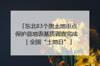 东北83个黑土地重点保护县地表基质调查完成｜全国“土地日”