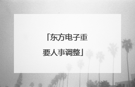 东方电子重要人事调整