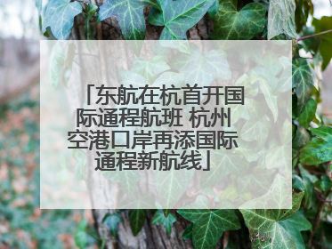 东航在杭首开国际通程航班 杭州空港口岸再添国际通程新航线