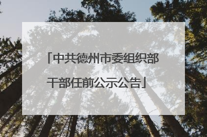中共德州市委组织部干部任前公示公告
