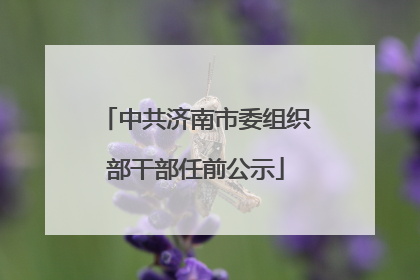 中共济南市委组织部干部任前公示