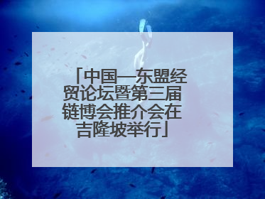 中国—东盟经贸论坛暨第三届链博会推介会在吉隆坡举行