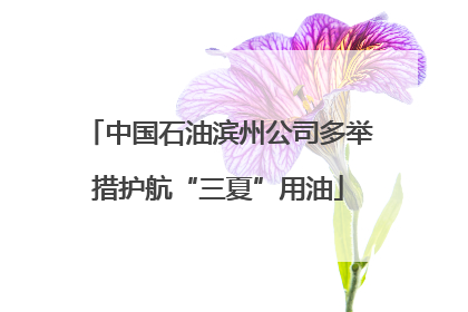 中国石油滨州公司多举措护航“三夏”用油