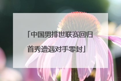 中国男排世联赛回归首秀遭遇对手零封