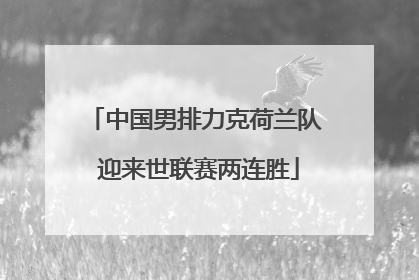 中国男排力克荷兰队 迎来世联赛两连胜