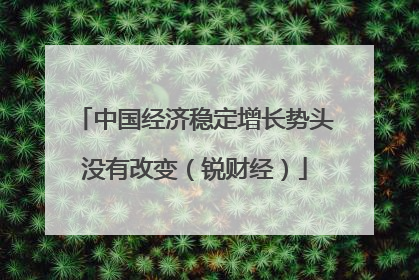中国经济稳定增长势头没有改变（锐财经）