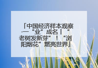 中国经济样本观察·一“业”成名丨“老树发新芽”！“浏阳烟花”燃亮世界