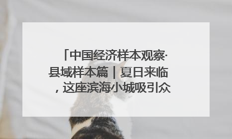 中国经济样本观察·县域样本篇｜夏日来临，这座滨海小城吸引众多年轻人打卡……
