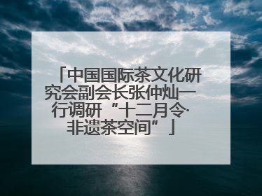 中国国际茶文化研究会副会长张仲灿一行调研“十二月令·非遗茶空间”