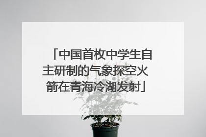 中国首枚中学生自主研制的气象探空火箭在青海冷湖发射