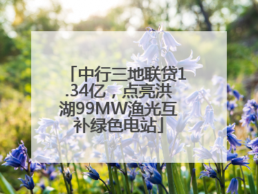 中行三地联贷1.34亿，点亮洪湖99MW渔光互补绿色电站