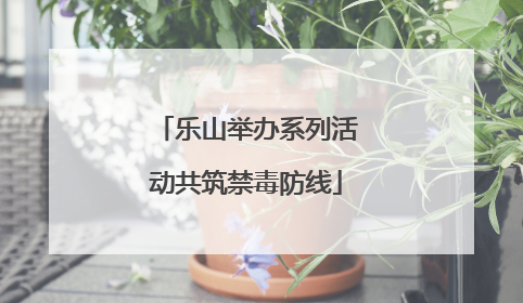 乐山举办系列活动共筑禁毒防线