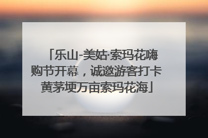 乐山-美姑·索玛花嗨购节开幕，诚邀游客打卡黄茅埂万亩索玛花海