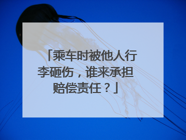 乘车时被他人行李砸伤，谁来承担赔偿责任？