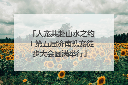 人宠共赴山水之约！第五届济南携宠徒步大会圆满举行