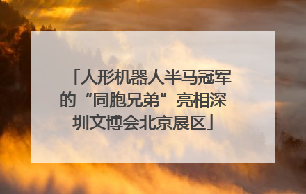 人形机器人半马冠军的“同胞兄弟”亮相深圳文博会北京展区