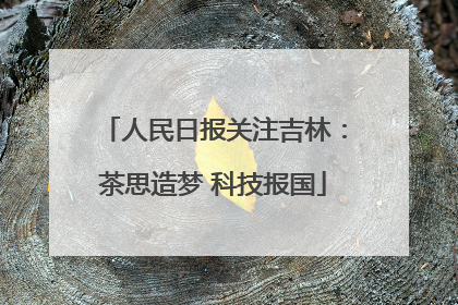 人民日报关注吉林：茶思造梦 科技报国