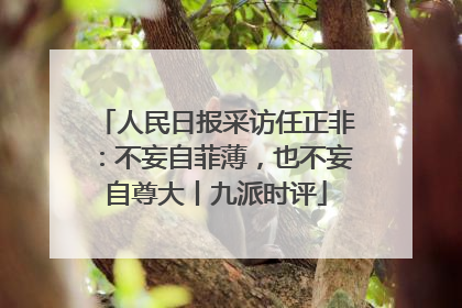 人民日报采访任正非：不妄自菲薄，也不妄自尊大丨九派时评