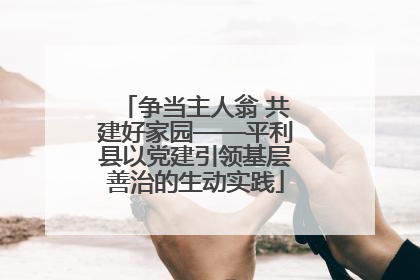 争当主人翁 共建好家园——平利县以党建引领基层善治的生动实践