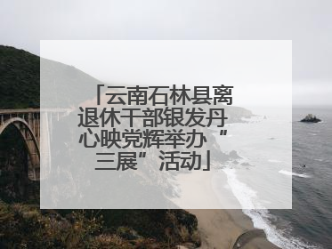 云南石林县离退休干部银发丹心映党辉举办“三展”活动