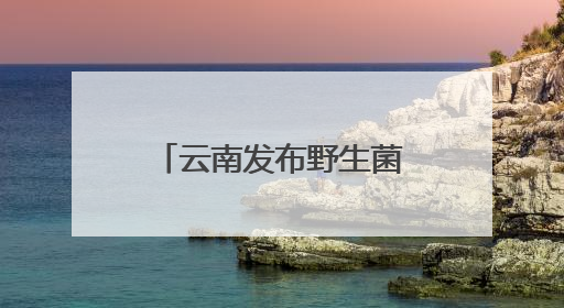 云南发布野生菌中毒风险地图
