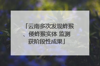云南多次发现蜂猴、倭蜂猴实体 监测获阶段性成果