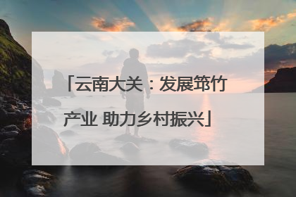 云南大关：发展筇竹产业 助力乡村振兴