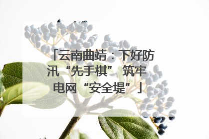 云南曲靖：下好防汛“先手棋” 筑牢电网“安全堤”