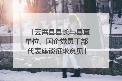 云霄县县长与县直单位、国企党员干部代表座谈征求意见
