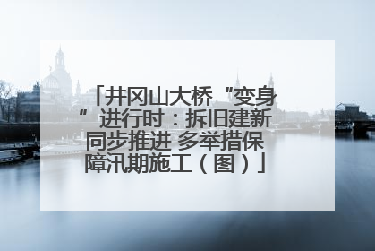 井冈山大桥“变身”进行时：拆旧建新同步推进 多举措保障汛期施工（图）