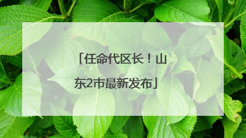 任命代区长！山东2市最新发布